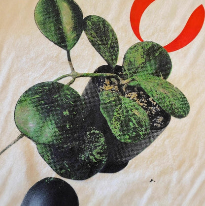 Hoya Botanical Print T-shirts